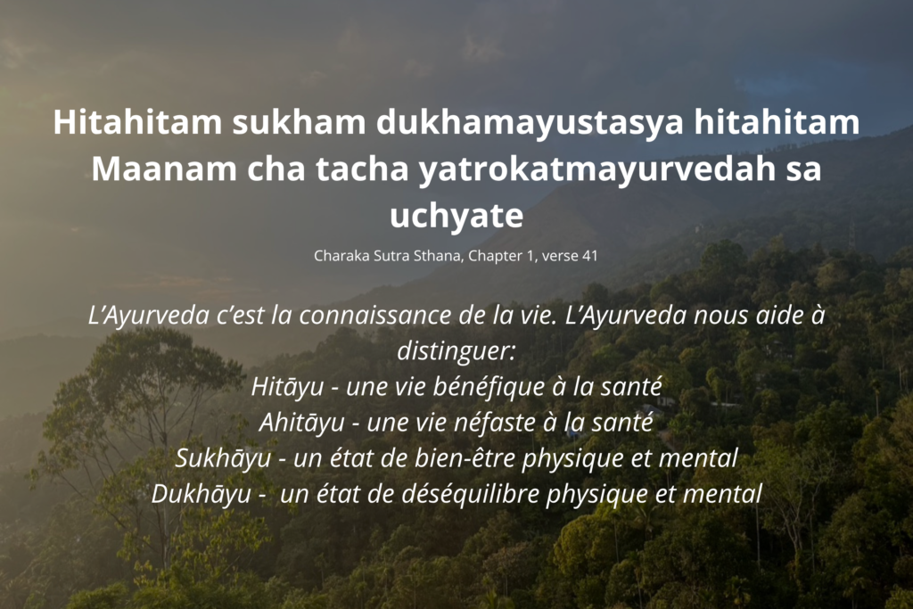objectif de l'ayurveda (1)