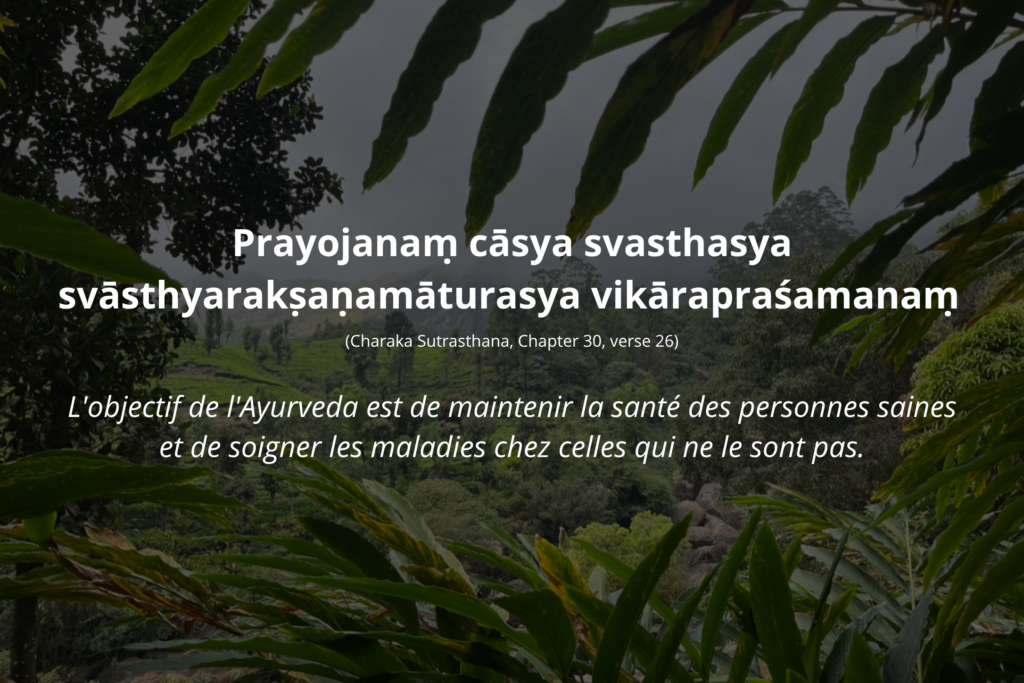 objectif de l'ayurveda